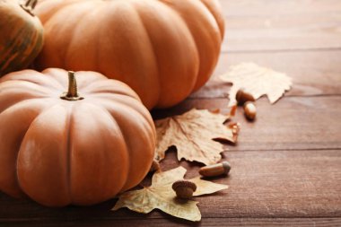 Kuru yaprakları ile turuncu kabak