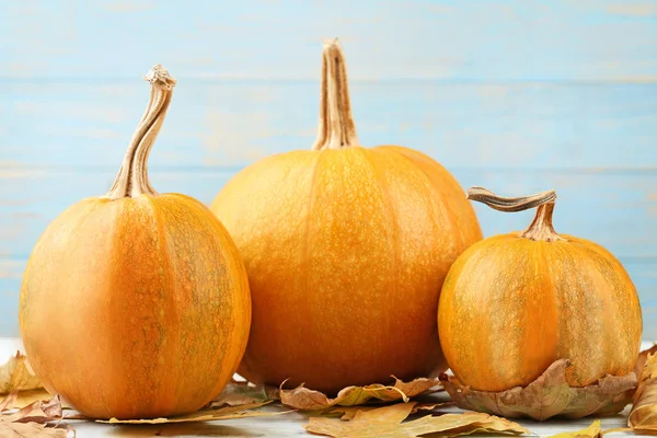 Oranje pompoenen met droge bladeren — Stockfoto