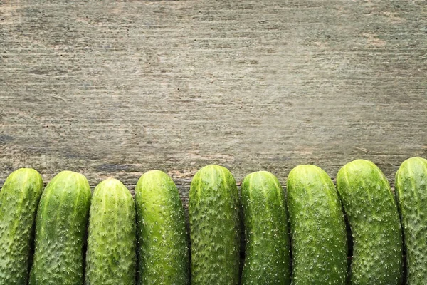 Fresh green cucumbers — Stock Photo, Image