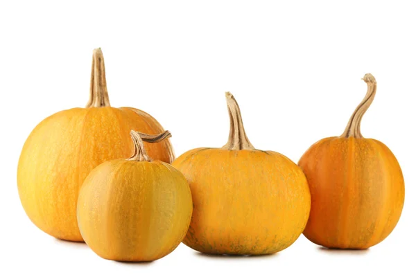 Orange pumpkins isolated — Stock Photo, Image