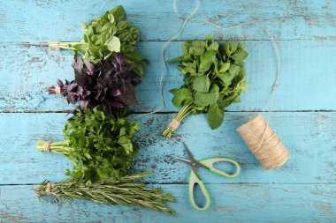 Makas ile farklı taze otlar