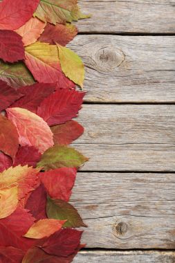 Masaya sonbahar yaprakları