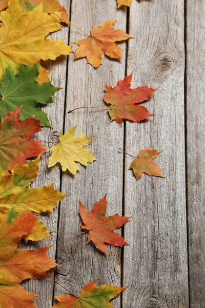 Hojas de otoño en la mesa — Foto de Stock