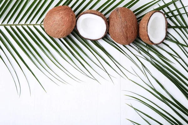 Cocos com folha verde — Fotografia de Stock
