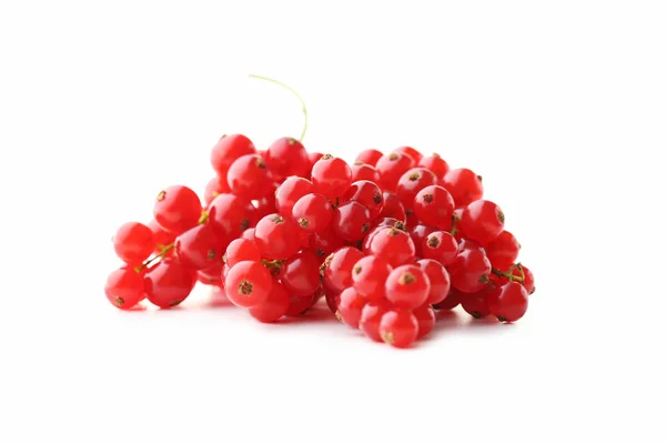 赤スグリの果実 — ストック写真