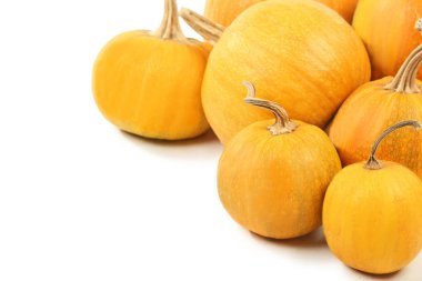 Turuncu kabak izole 