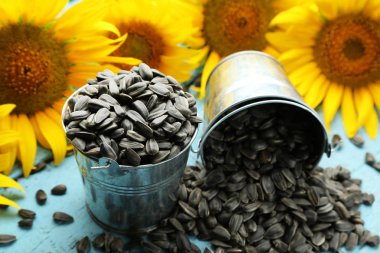 Ayçekirdeği kovalar 