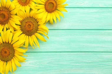 Ayçiçeği nane masada