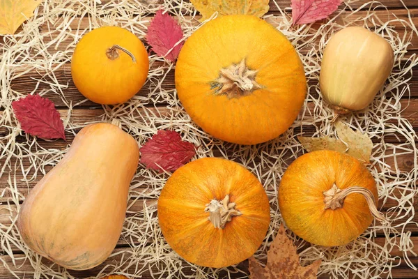 Orange pumpkins with dry leaves — Stock Photo, Image