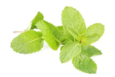 İzole edilmiş taze nane yaprakları