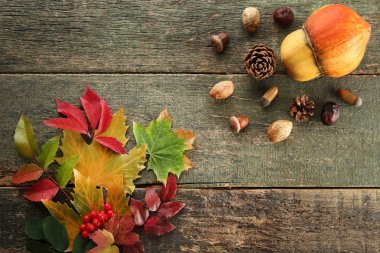 fındık ile sonbahar yaprakları 