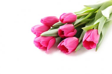 Bir buket pembe lale. 