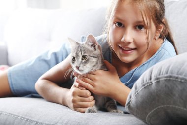 Kanepe üzerinde eller üzerinde güzel Gri kedi