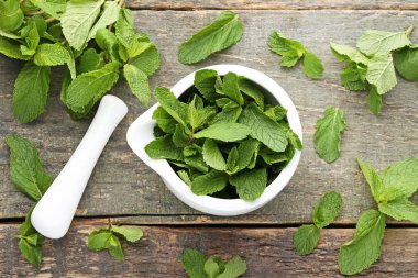 Taze nane yaprakları harç içinde 