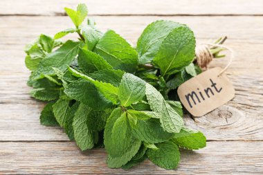 Taze nane yaprakları 