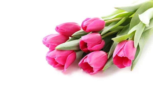 Bouquet di tulipani rosa — Foto Stock