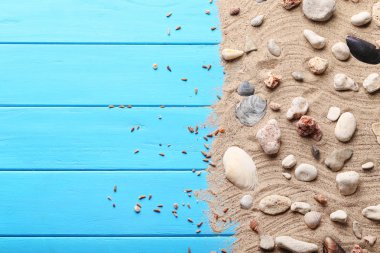 Sahil kumu kabukları ile