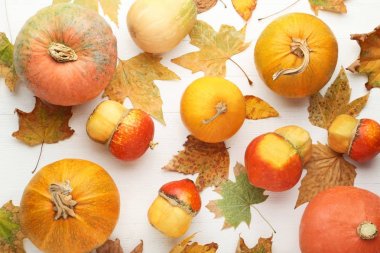 Kuru yaprakları ile turuncu kabak