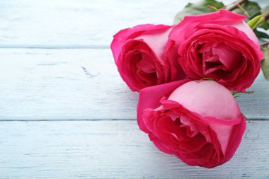 Güzel pembe güller