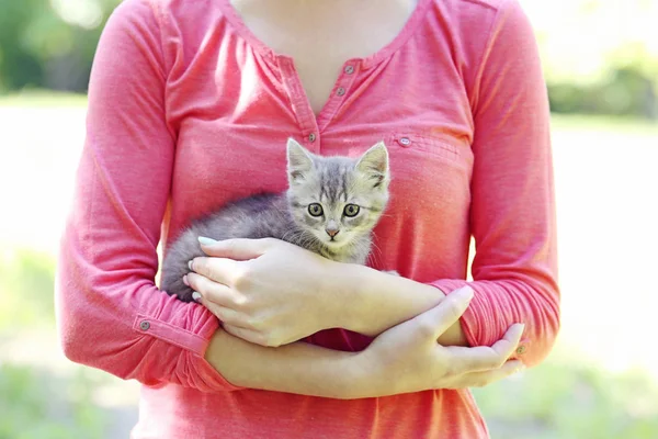 Vackra Lilla Katt Kvinnliga Händer Utomhus — Stockfoto