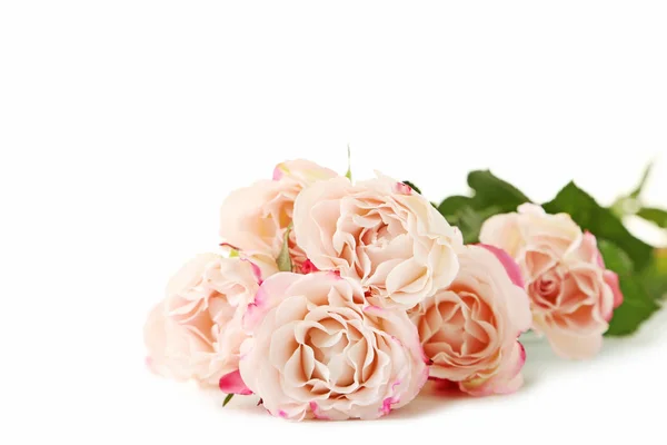 Красивые бежевые розы — стоковое фото