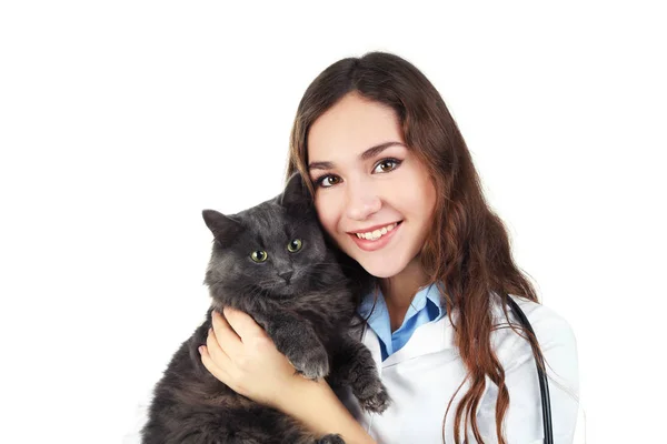 Young Veterinarian Holding Grey Cat White Background — Stock Photo, Image