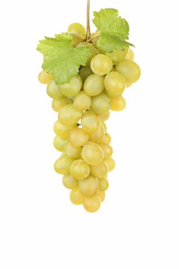 Yeşil olgunlaşmış üzümler beyaz zemin üzerine izole