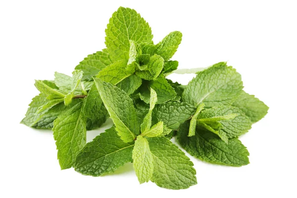 Daun Mint Segar Terisolasi Pada Warna Putih — Stok Foto