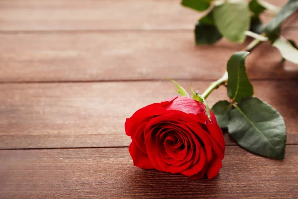 Rudá růže na stole — Stock fotografie