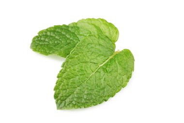 Taze nane yaprakları