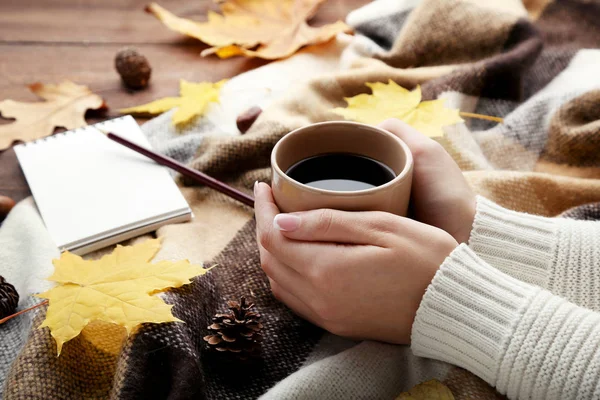 Female hands holding cup — Stock Photo, Image