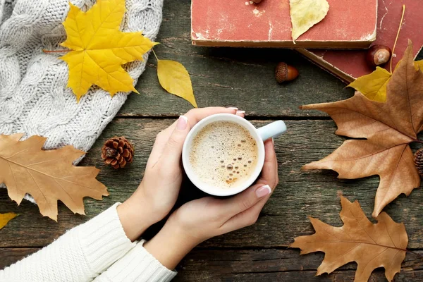 Female hands holding cup — Stock Photo, Image