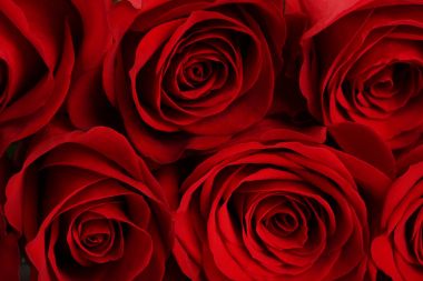 arka kırmızı gül buketi