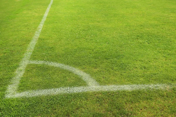 Campo de fútbol hierba — Foto de Stock