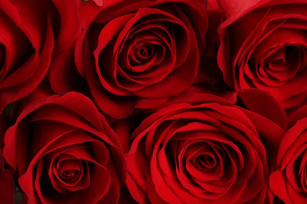 Μπουκέτο με κόκκινα τριαντάφυλλα φόντο — Φωτογραφία Αρχείου