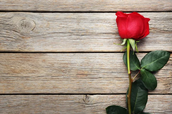 Κόκκινο τριαντάφυλλο στο τραπέζι — Φωτογραφία Αρχείου