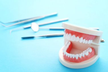 Mavi arka plan üzerinde diş araçlarına sahip diş modeli