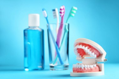 Diş model mavi zemin üzerine cam ve gargara şişede diş fırçaları ile
