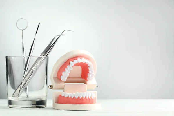 Teeth Model Dental Tools Glass Grey Background — Stock Photo, Image
