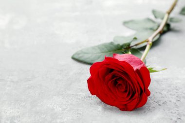 Gri ahşap masa üzerinde kırmızı gül