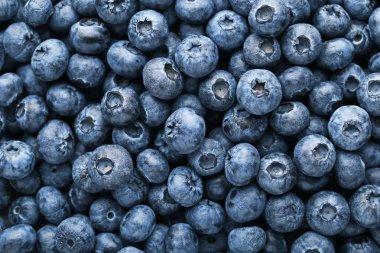 Olgun ve tatlı yaban mersini arka plan yığını