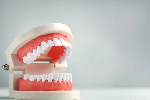 Modelu Zębów Szarym Tle — Zdjęcie stockowe
