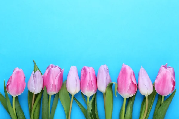 Ramo Tulipanes Sobre Fondo Azul —  Fotos de Stock