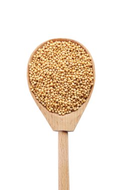 Tahta kaşık beyaz bir arka plan üzerinde izole hardal tohumu
