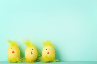 Komik tavuk yüzü nane arka plan üzerinde olan sarı yumurta