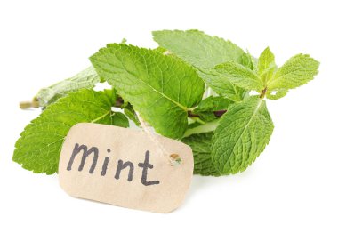 izole üzerinde beyaz taze nane yaprakları