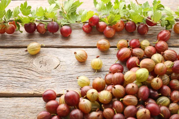 Uva Spina Matura Frutta Con Ramo Albero Tavolo Legno Grigio — Foto Stock