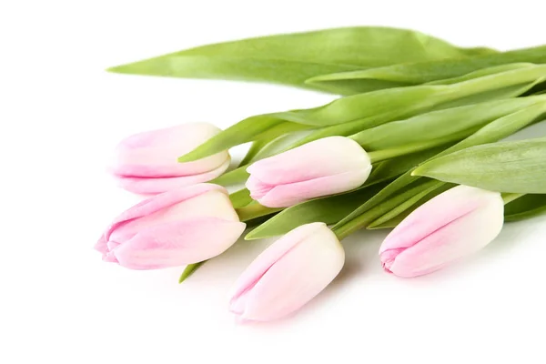 Strauß Rosa Tulpen Auf Weißem Hintergrund — Stockfoto