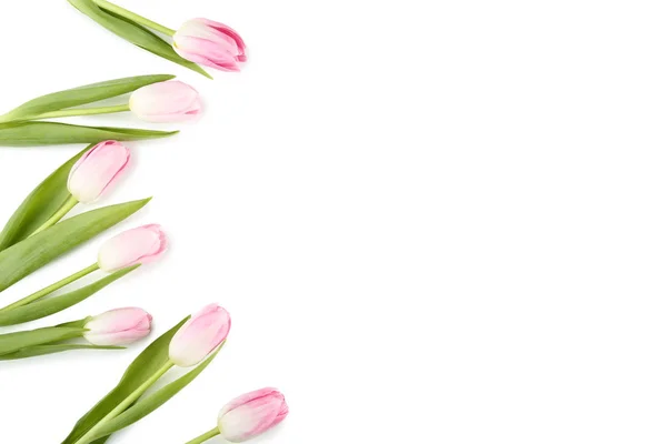 Bouquet Pink Tulips White Background — Stock Photo, Image