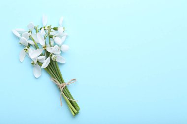 Buket kardelen çiçek mavi zemin üzerine